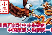 小民之心:川普可能对中共来硬的 中国鹰派人物暗讽一尊