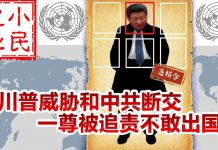 小民之心:川普威胁和中共断交 一尊被追责不敢出国