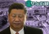华尔街网报:中美入绝境,习近平下台与川普败退二选一才可破局