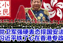 小民之心:党卫军强硬表态撑国安法 习近平铁了心在香港专政