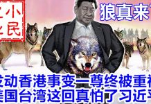 小民之心:狼真来了!发动香港事变一尊终被重视 美国台湾这回真怕了习近平
