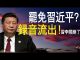 老北京茶馆:罢免习近平录音流出!党放蠢招:撕毁协议、挑动美国民情!李克强练摊,习李终闹掰!
