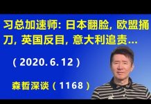 江森哲:习近平“总加速师”名归至实,日本翻脸、欧盟捅刀、英国反目、意大利追责,北京在国际上陷入“人人喊打”的窘境