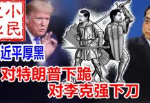小民之心:习近平厚黑:对特朗普下跪 对李克强下刀