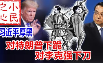 小民之心:习近平厚黑:对特朗普下跪 对李克强下刀