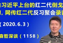 江森哲:推拥习近平上台的“红二代”倒戈反习,网传北京“红二代”反习聚会录音