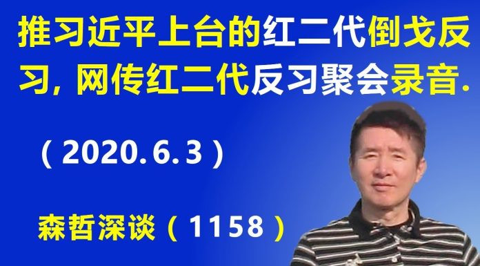 江森哲:推拥习近平上台的“红二代”倒戈反习,网传北京“红二代”反习聚会录音