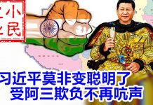 小民之心:习近平莫非变聪明了 受阿三欺负不再吭声