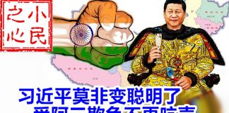 小民之心:习近平莫非变聪明了 受阿三欺负不再吭声