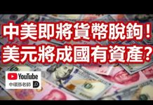 孫老師說財經:中美即將貨幣脫鉤!美元將成為國有資產?