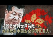 张杰:摧毁香港与世界为敌 谁是危害中国安全的真正罪人?