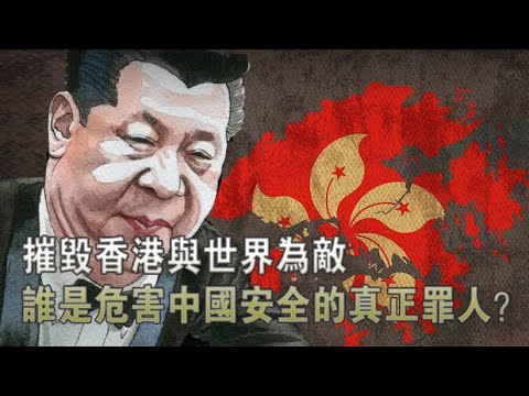张杰:摧毁香港与世界为敌 谁是危害中国安全的真正罪人?