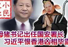 小民之心:母猪书记出任国安署长 习近平到底是想干什么?