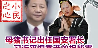 小民之心:母猪书记出任国安署长 习近平到底是想干什么?