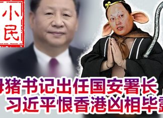 小民之心:母猪书记出任国安署长 习近平到底是想干什么?