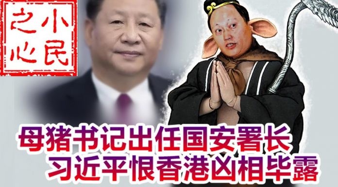 小民之心:母猪书记出任国安署长 习近平到底是想干什么?