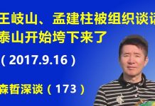 江森哲:王岐山、孟建柱被组织谈话,泰山开始垮下来了