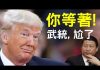 老北京茶馆:川普提美中脱钩、中共负全责!习近平一年级娃娃政治挂帅!武统台湾又尴尬了?