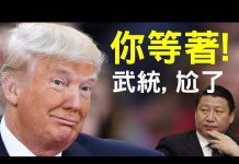 老北京茶馆:川普提美中脱钩、中共负全责!习近平一年级娃娃政治挂帅!武统台湾又尴尬了?
