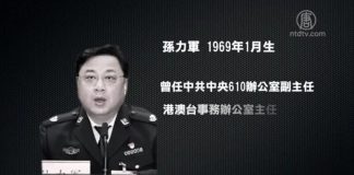 张林:公安部副部长孙立军 被抓的真实原因!