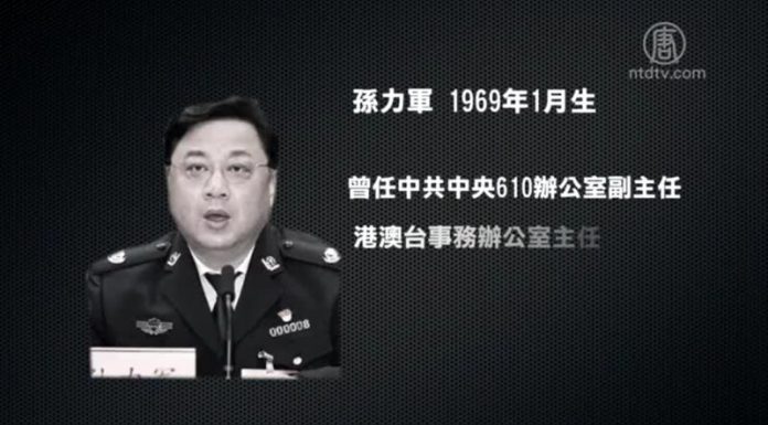张林:公安部副部长孙立军 被抓的真实原因!