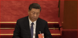 林林七:总加速师开倒车,等待他的是车毁人亡