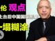 自由亚洲电台/张伦教授 (下) :习近平上台后中国国际形象一塌糊涂