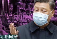 华尔街网报:北京决策层对疫情处理已违反国际法!世卫组织大溃败根源是官僚体制、资金问题、权力制约