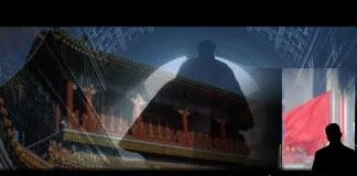 张杰:中南海的祸国军师是如何炼成的?