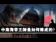 张杰:中南海的祸国军师是如何炼成的?