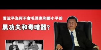 张杰:习近平为何不会毛泽东和邓小平的黑功夫和毒暗器?
