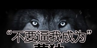 公民老黑:中共正在消灭蒙族的语言和文化,要么逃跑,要么反抗