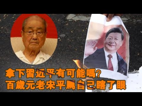 张杰:拿下习近平有可能吗?百岁元老宋平骂自己瞎了眼