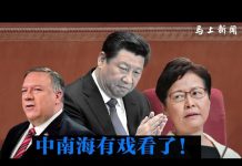 马上新闻:中南海有戏看了,林郑月娥率港府高官要到北京找独裁习近平告状