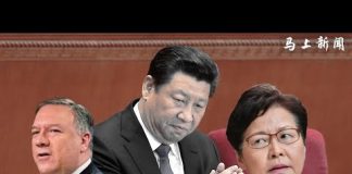 马上新闻:中南海有戏看了,林郑月娥率港府高官要到北京找独裁习近平告状