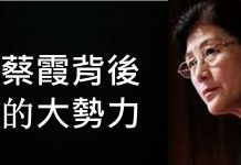 李一平:蔡霞出逃連過兩關,背後站著反習大勢力!對蔡霞態度評價,事關民主轉型的成敗