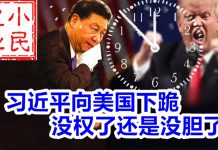 小民之心:习近平向美国下跪 没权了还是没胆了
