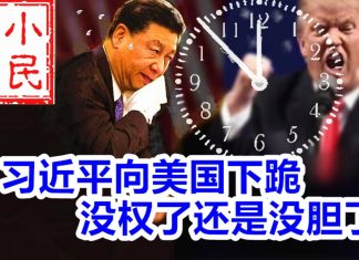 小民之心:习近平向美国下跪 没权了还是没胆了