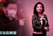 华尔街网报:著名央视女主播成蕾北京被抓!谍案还是政治斗争?