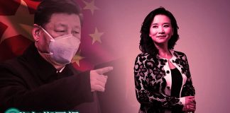华尔街网报:著名央视女主播成蕾北京被抓!谍案还是政治斗争?