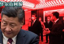 华尔街网报:习近平要求“刀口向内”重手整顿公安政法系统:龚道安孙力军后是全面大清洗
