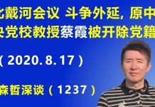 江森哲:“北戴河会议”斗争外延,原中央党校教授 蔡霞 突然被开除党籍