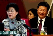 华尔街网报:当务之急是换习!蔡霞被开除党籍:逃出黑帮得新生!