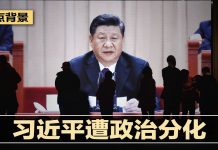 刁禁评:中国已进入全民噤声的习近平时代