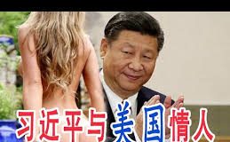 林林七:习近平的美国情人说起