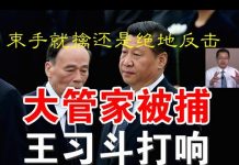 郭宝胜:王岐山大管家董宏被抓、王会束手就擒还是绝地反击?任志强事件后习对王疑心倍增要断然斩除
