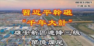 习无道:习近平的“千年大计”不到五年就破灭,雄安新区连降三级万亿工程烂尾