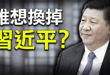苏小和:反习派三大主力人物浮出水面,包子搞不定;王沪宁趁机图谋上位,汪洋也有想法