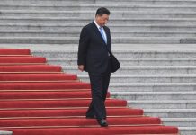 民调结果:59.2%的网民都希望习近平尽快出事(被暗杀或被政变)