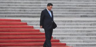 民调结果:59.2%的网民都希望习近平尽快出事(被暗杀或被政变)